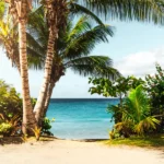 COLLEGES NEAR THE BEACH