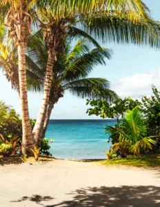COLLEGES NEAR THE BEACH