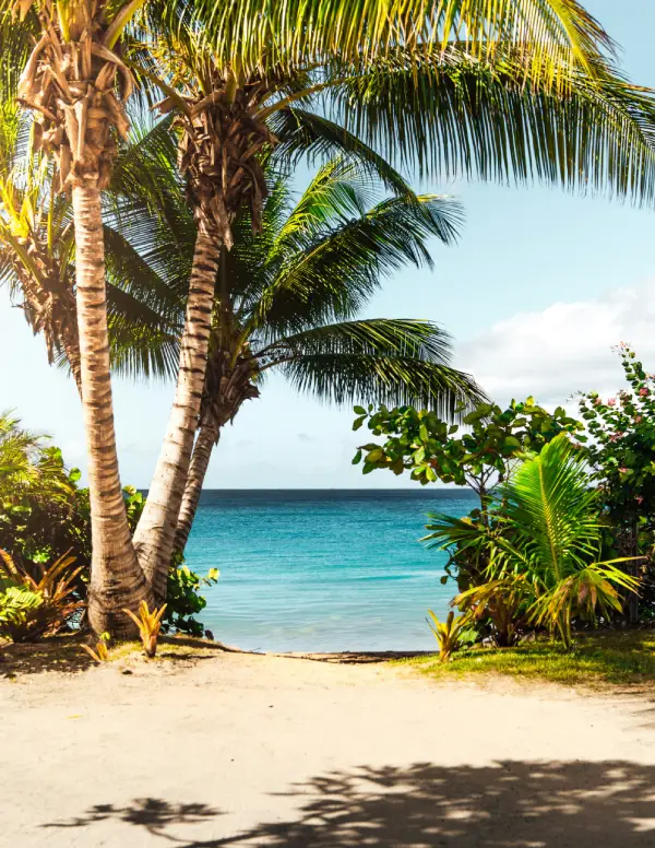 COLLEGES NEAR THE BEACH