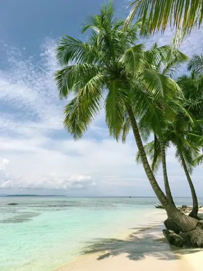 UNIVERSITIES NEAR BEACH IN THE USA